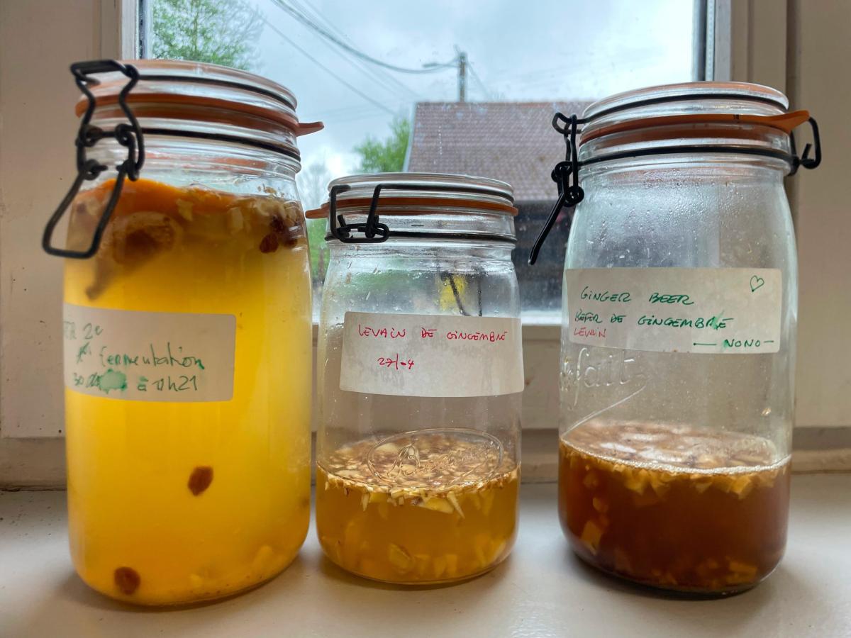 atelier-des-levures-vignette