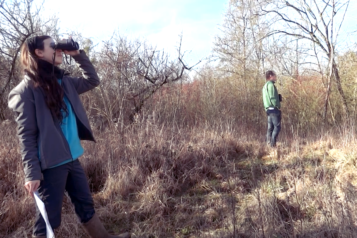 sciences-participatives-observations-verger-de-vincent-2